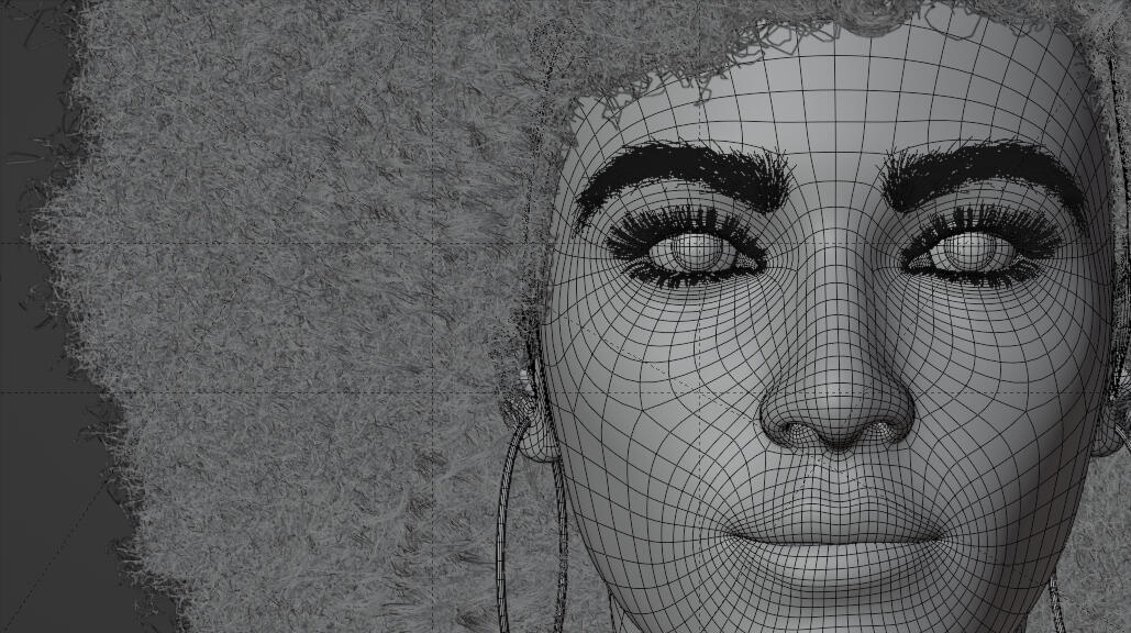 Optimized Animation Topology